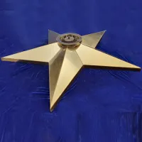 Звезда вечный огонь (1628) поставка комплект горелка ГВД 379 10 89 00 ПС ø 1100 мм. пустотелая  в Радужном ХМАО ЮГРА